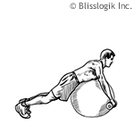 Тренируем плечи на фитболе качаем дельтовидную мышцу